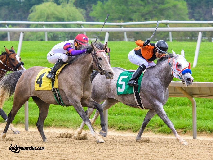 Iridesse winning at Delaware Park on 5/4/19